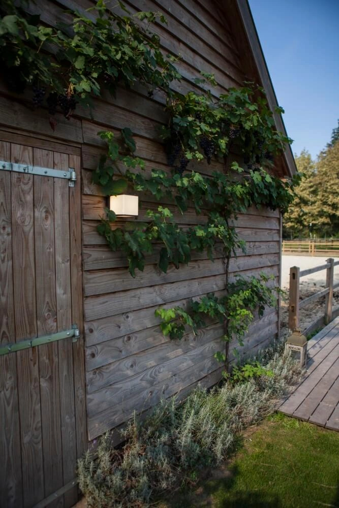 Design wandlamp Doblo antraciet Lutec 6939412012377