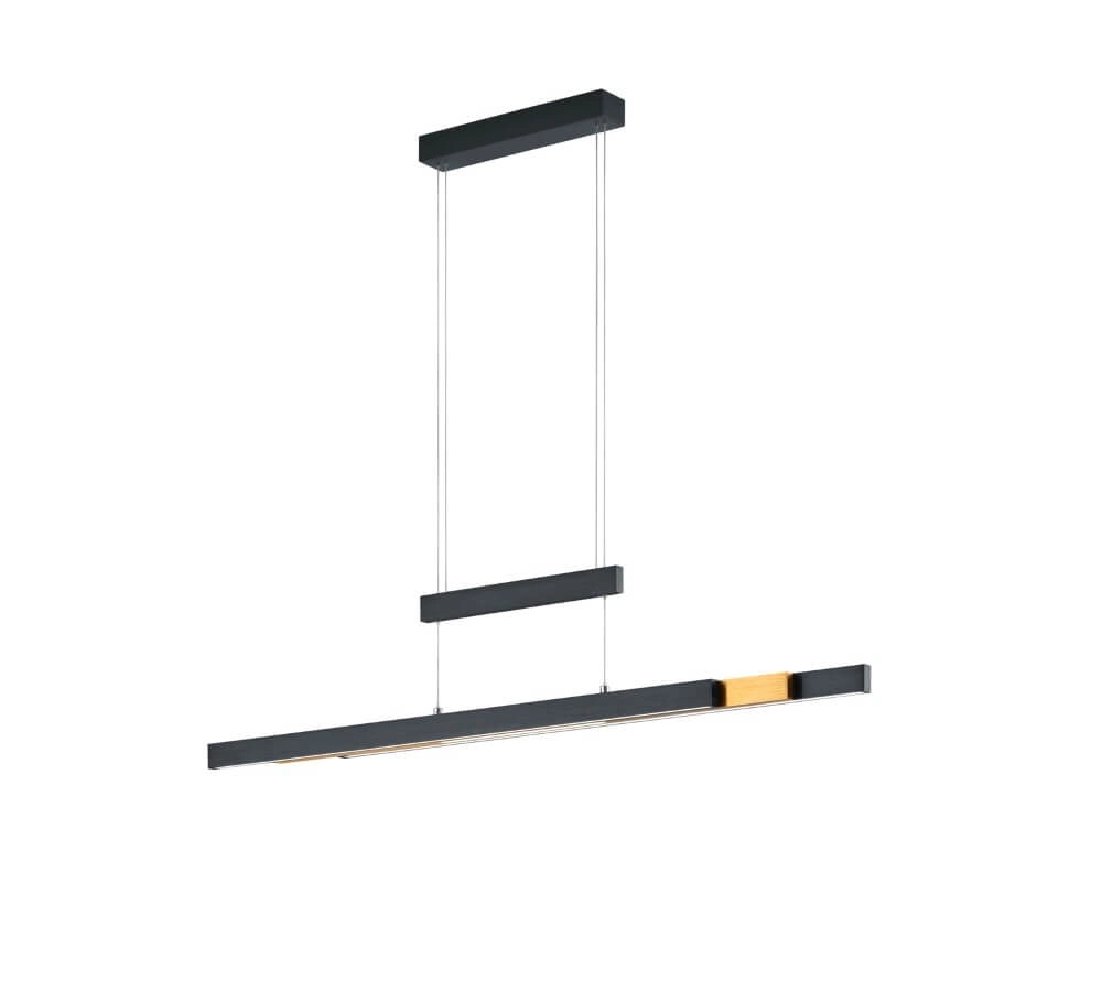 Hanglamp Trajan zwart Trio 4017807504446