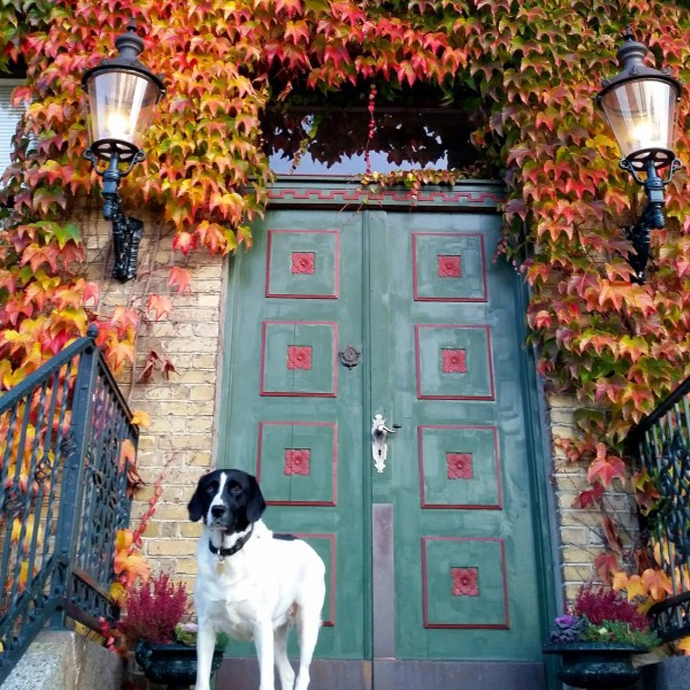 Wandlamp nostalgisch Amsterdam zwart KS Verlichting 8714732121545