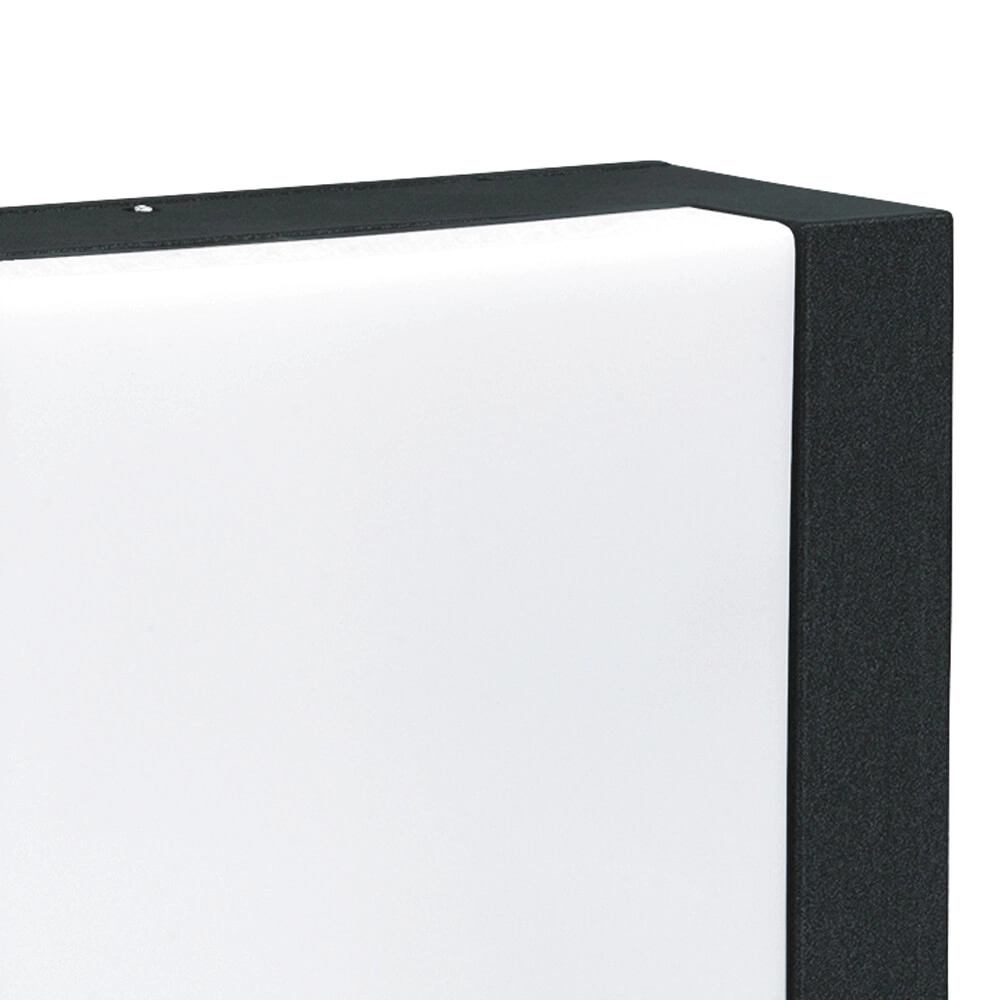 Led wand buitenverlichting Padestal zwart Albert 4007235603316