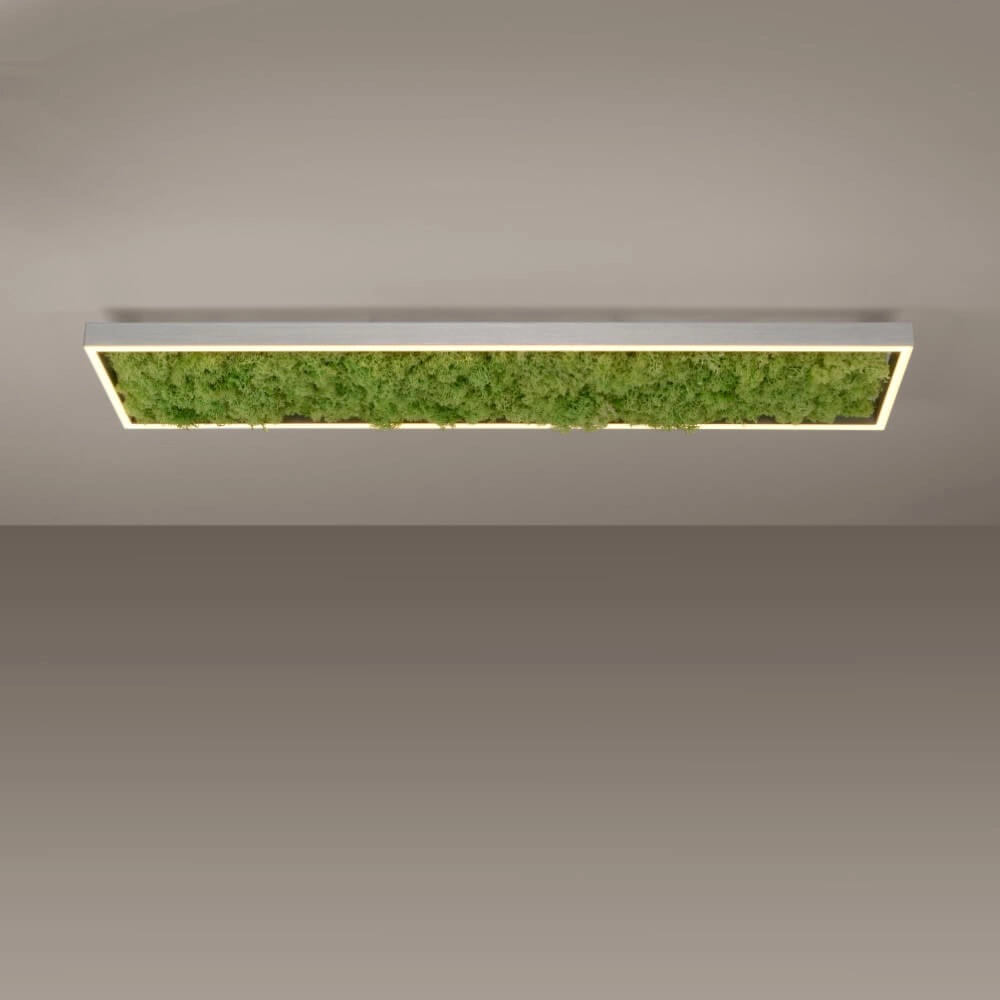 Rechthoekige plafondlamp Green Knut met mos Just Light 4043689994846