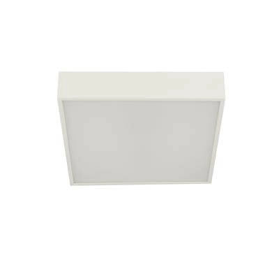 Badkamer plafondlamp Zeus vierkant wit Searchlight 5053423188645