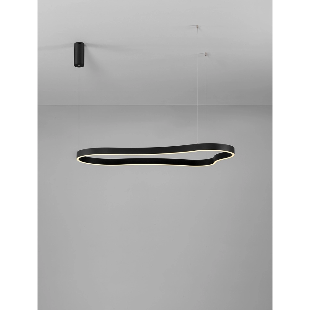 Natural shape pendant lamp Dussa black 120cm Lyora 5212017463074