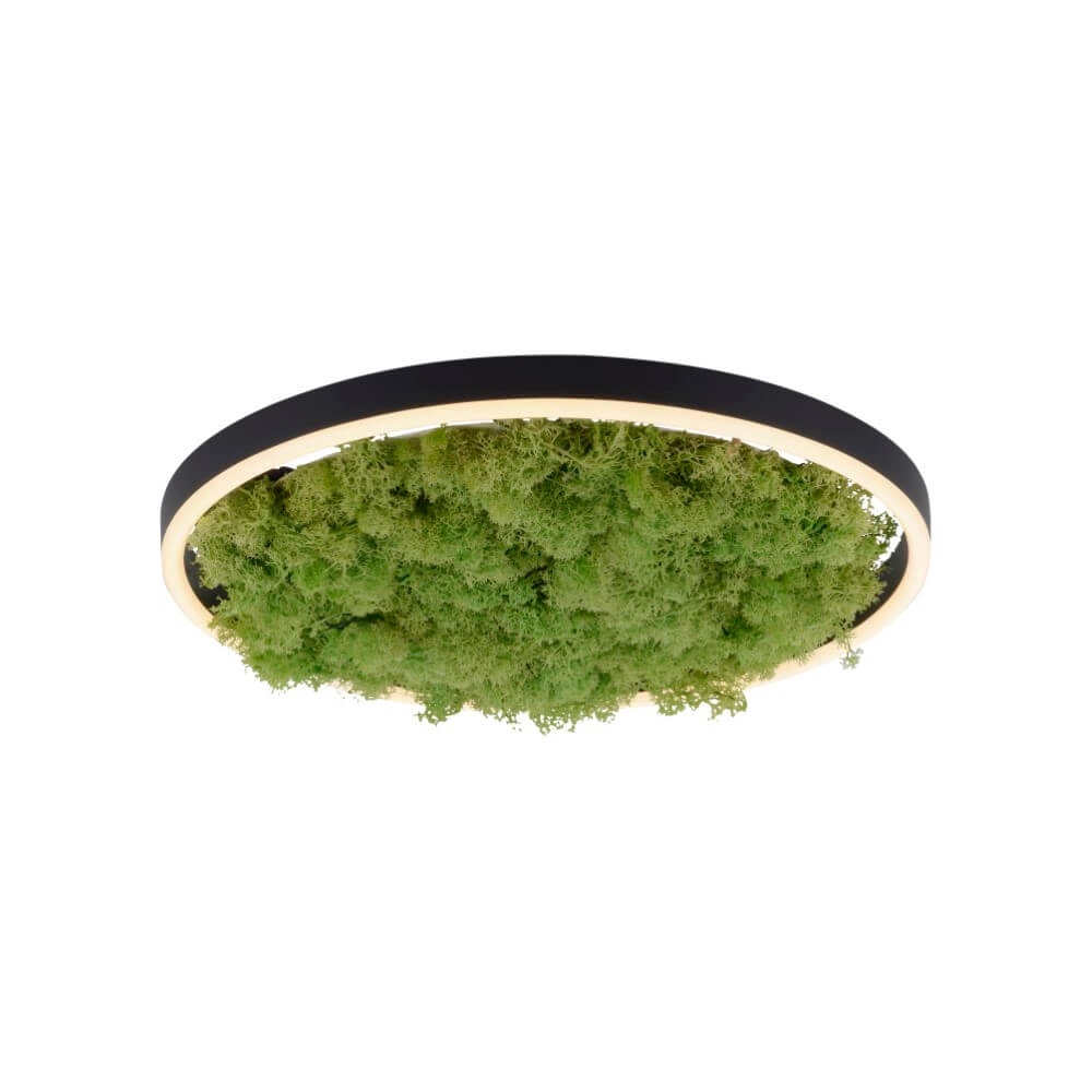 Plafondlamp Green Ritus met mos Ø 39,3cm Plafondlamp Green Ritus met mos Ø 39,3cm