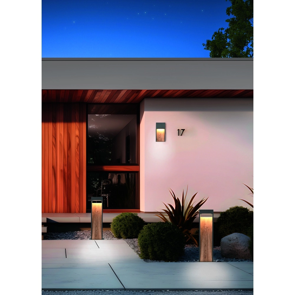 Design wandlamp Salmon grijs met hout Trio 4017807603705