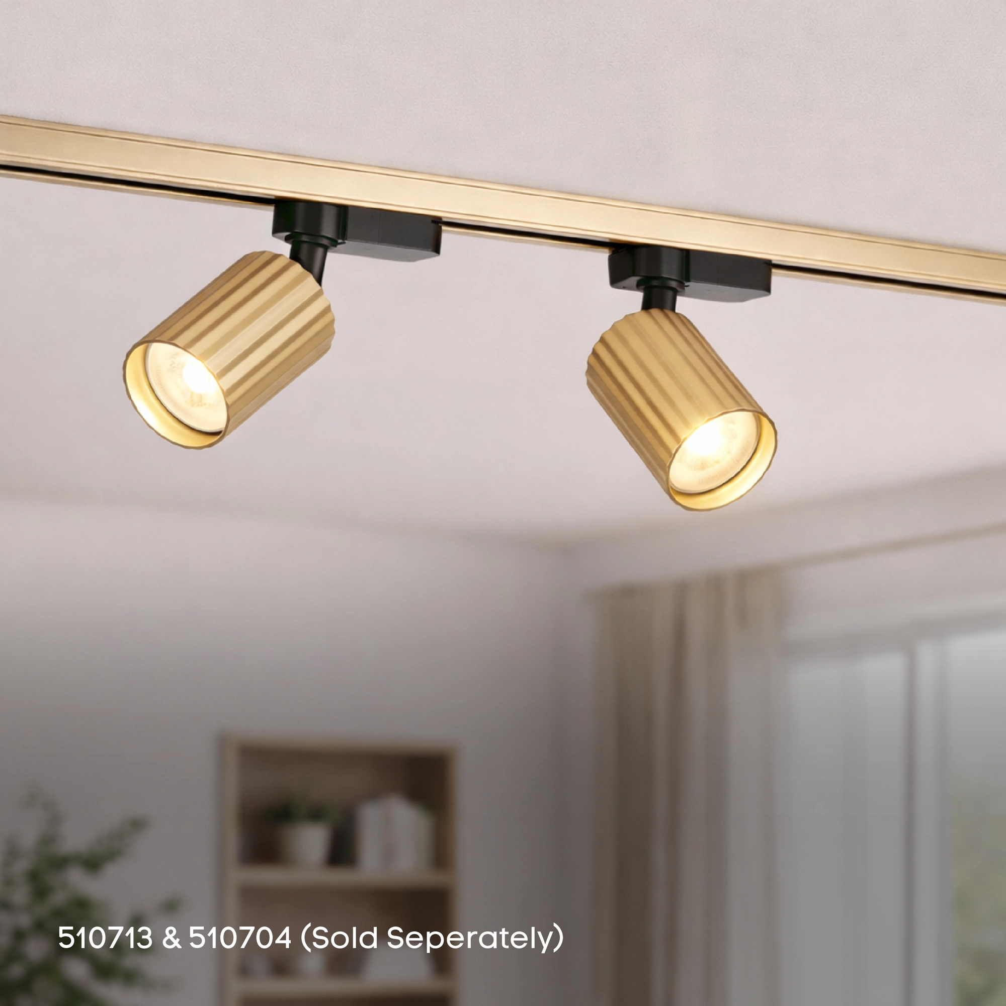 2 meter rail TraQ goud Lyora 5053423317113