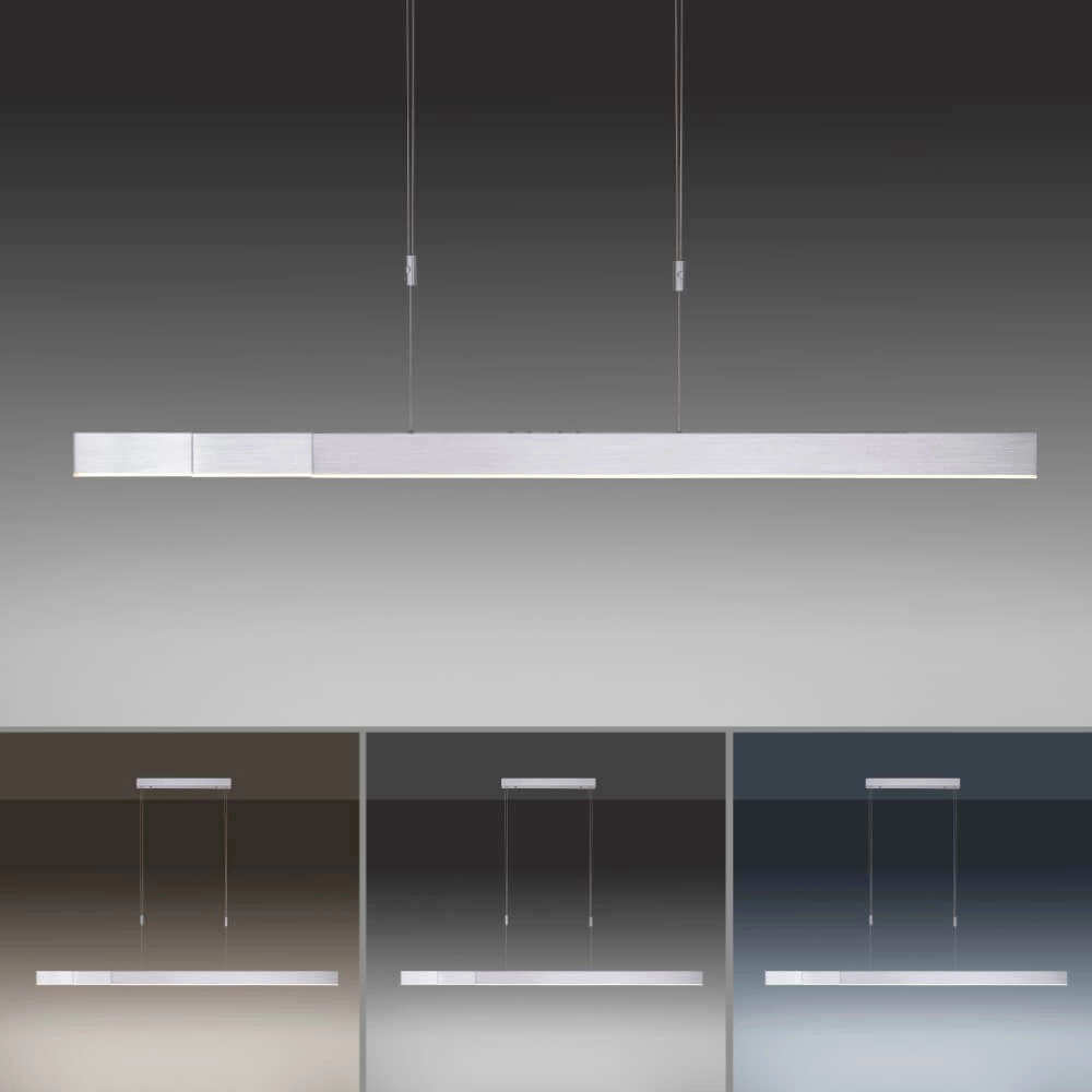 Led hanglamp Pure-Moto geborsteld metaal Paul Neuhaus 4012248363775