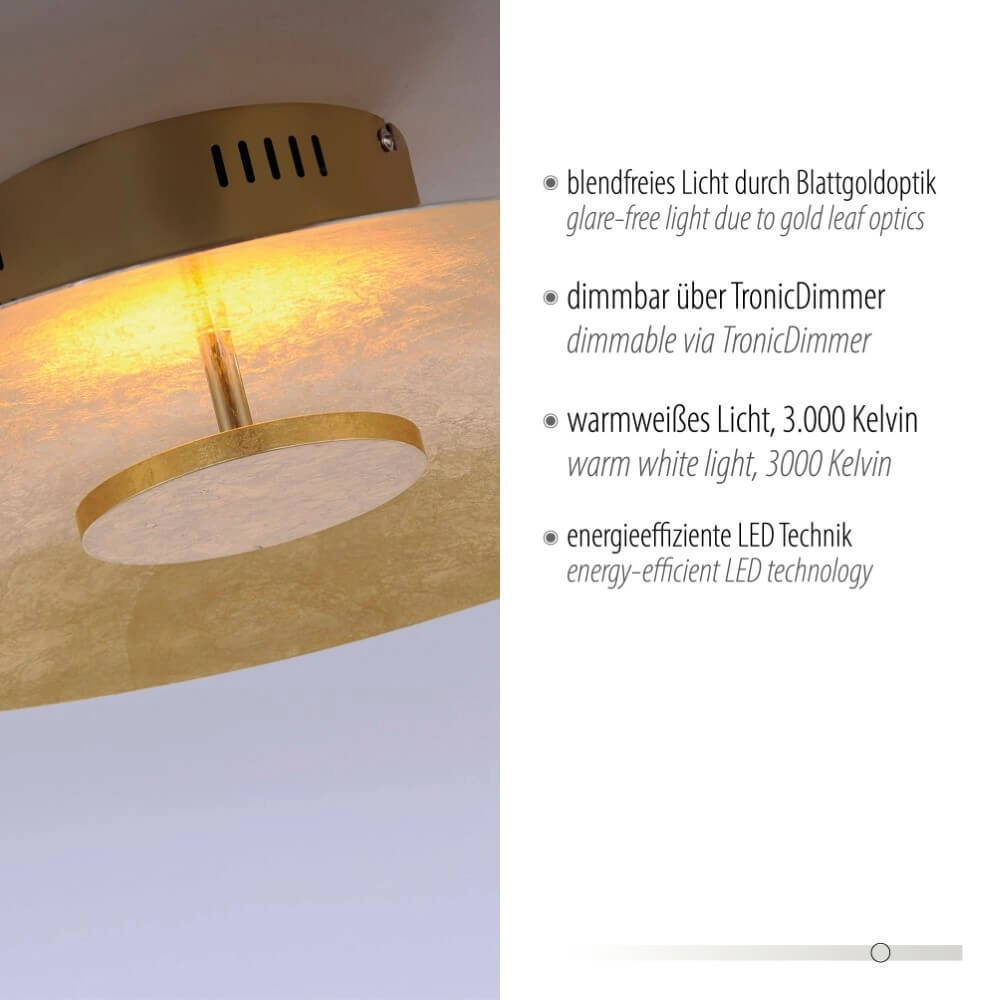 Plafondlamp Plate goud Paul Neuhaus 4012248281857