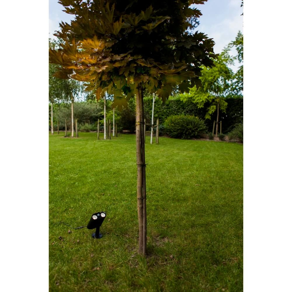 Solar prikspot Bingo met bewegingssensor Lutec 6939412089980