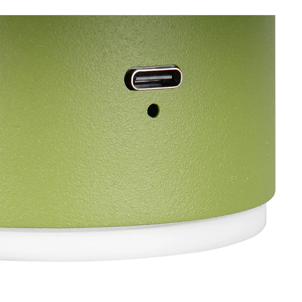 Groene wandlamp Davey Ø 15cm Trio 4017807643824