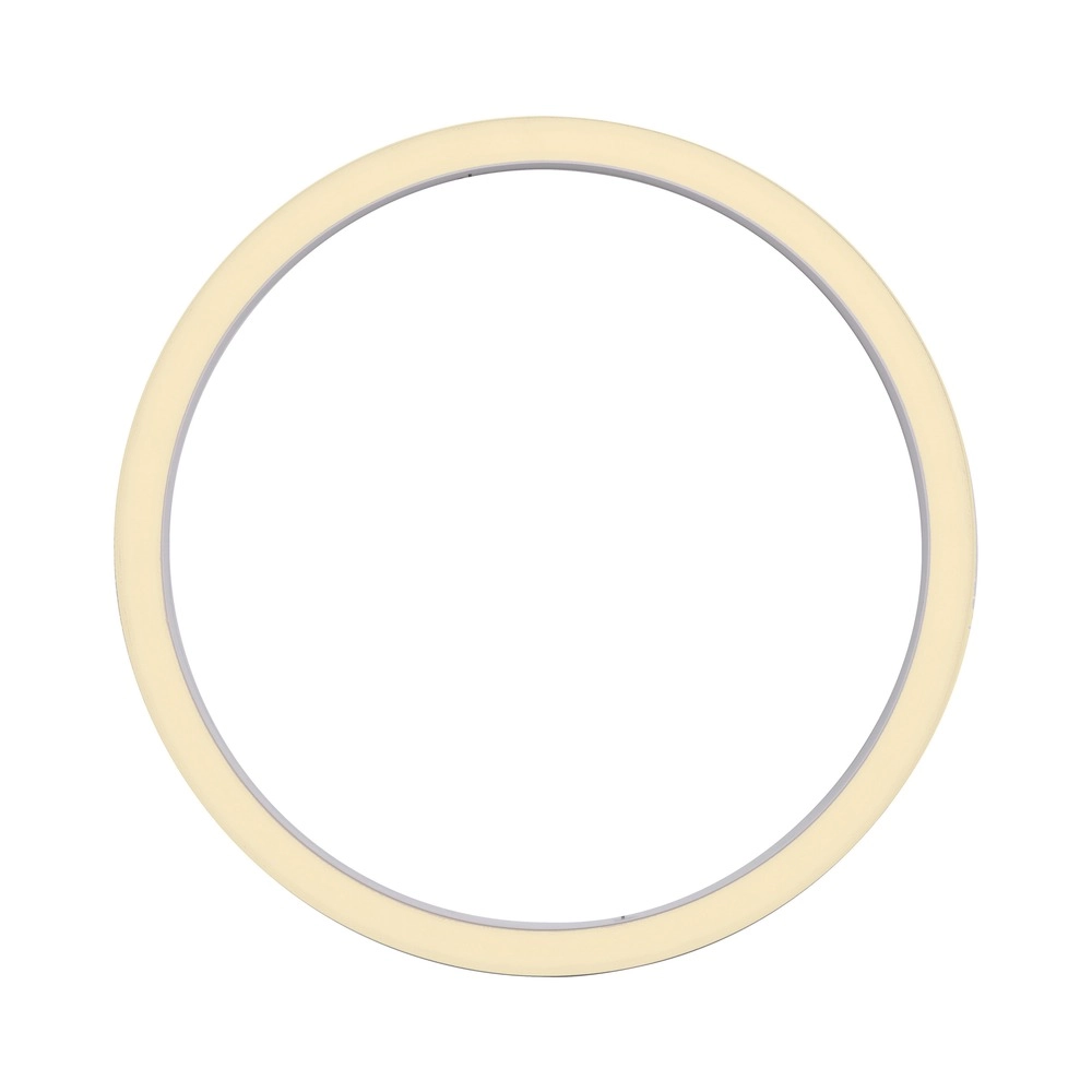 Strakke led plafondlamp Pure Lines Round Ø 70cm - wit Paul Neuhaus 4012248395813