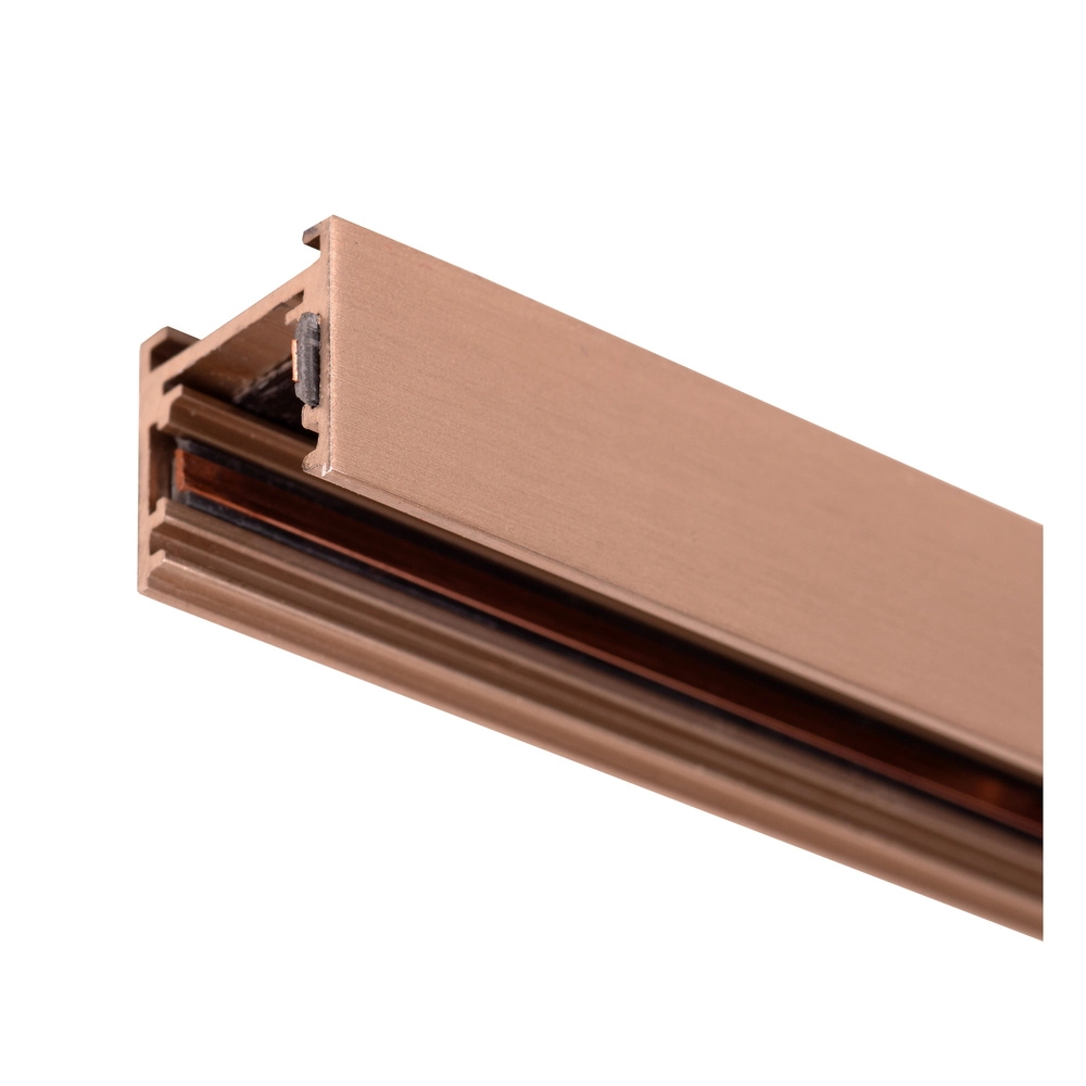 1 meter rail 1-fase Linial champagne Premium by Lucide 5411212551955