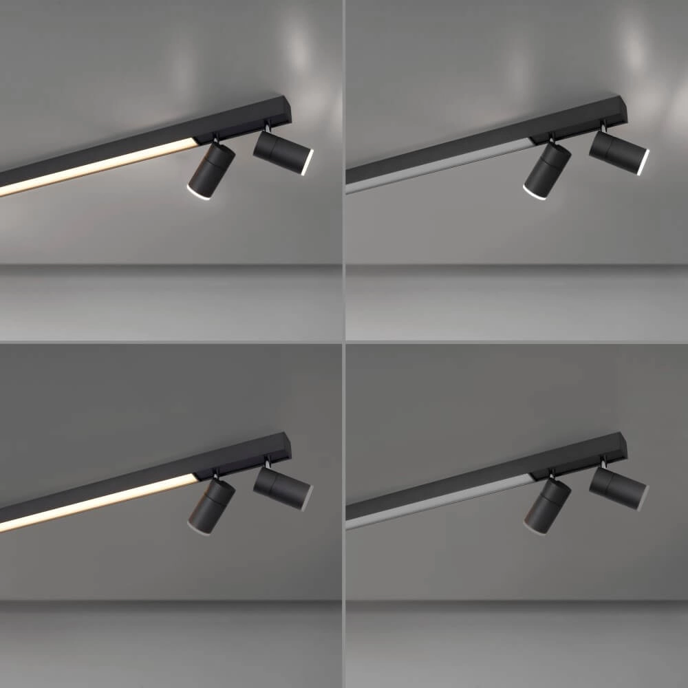 Strakke plafondlamp Pure Lines Spot antraciet Paul Neuhaus 4012248366349