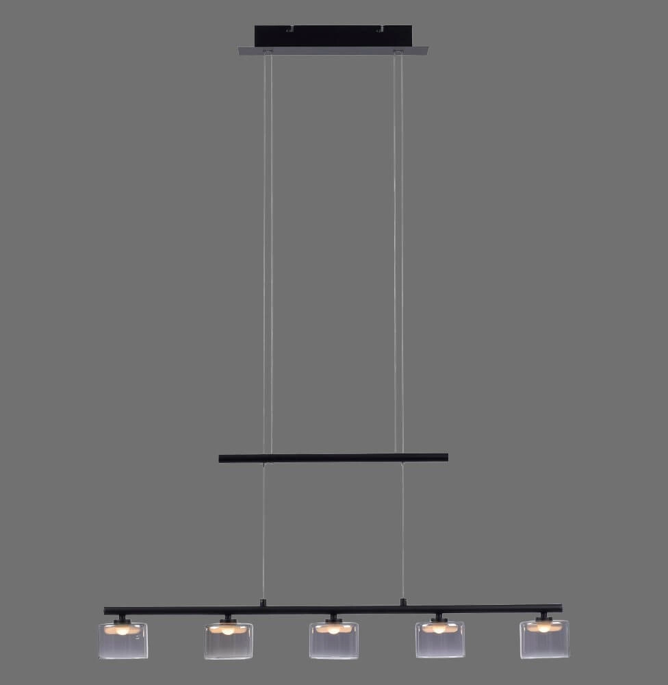 5-lichts hanglamp Hydra zwart Paul Neuhaus 4012248364970