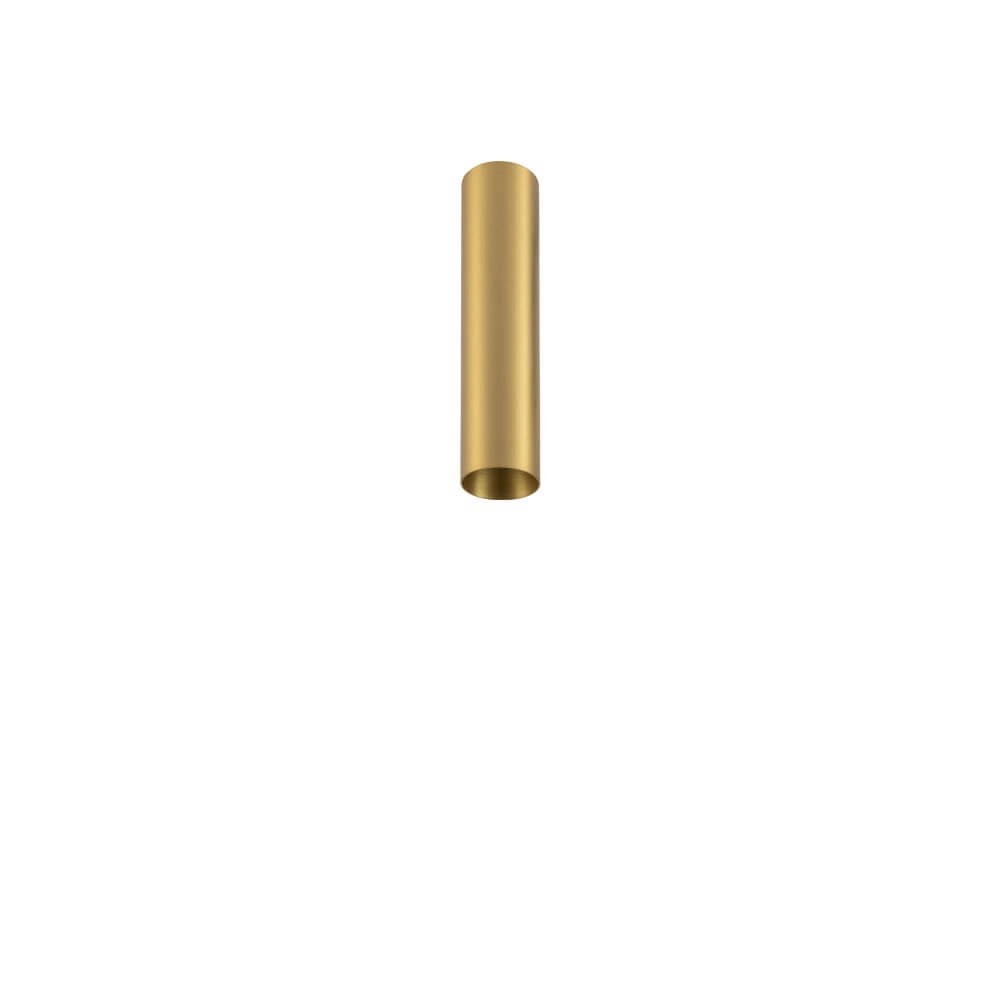 Gouden smalle plafondspot Fourty S