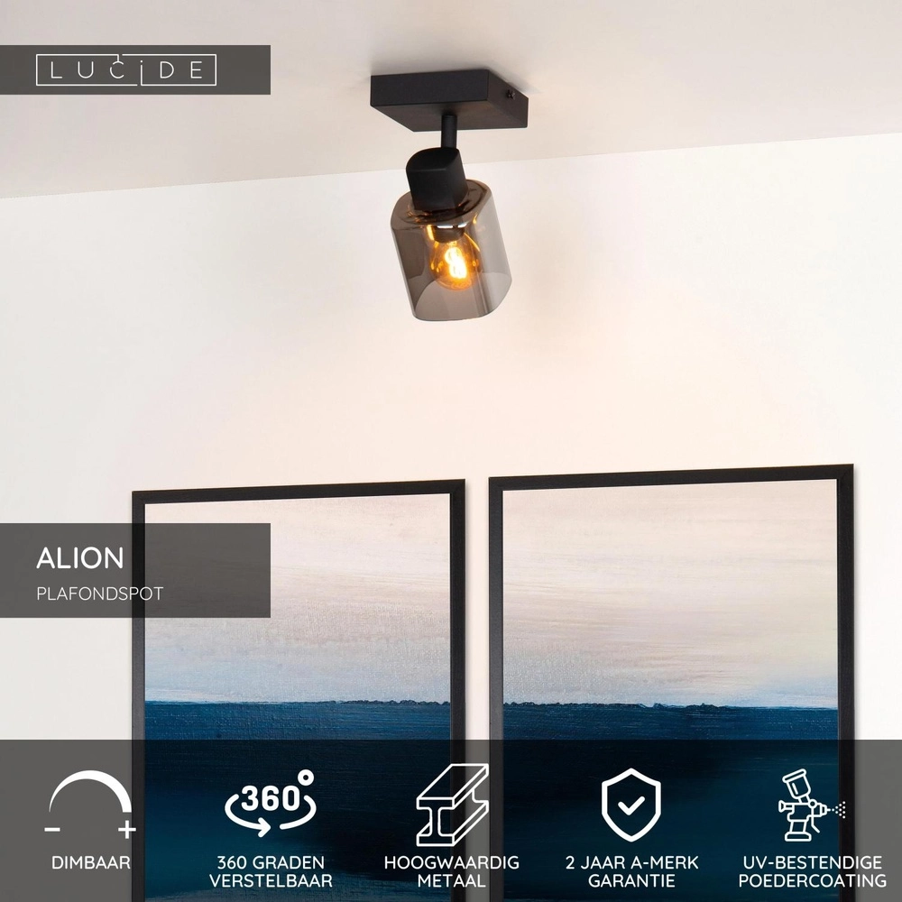 Plafondlamp Alion enkel zwart met smoke glas Lucide 5411212176981