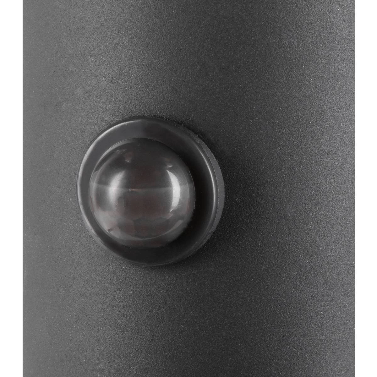Buitenlamp Ovalisk met bewegingssensor SLV 4024163248297
