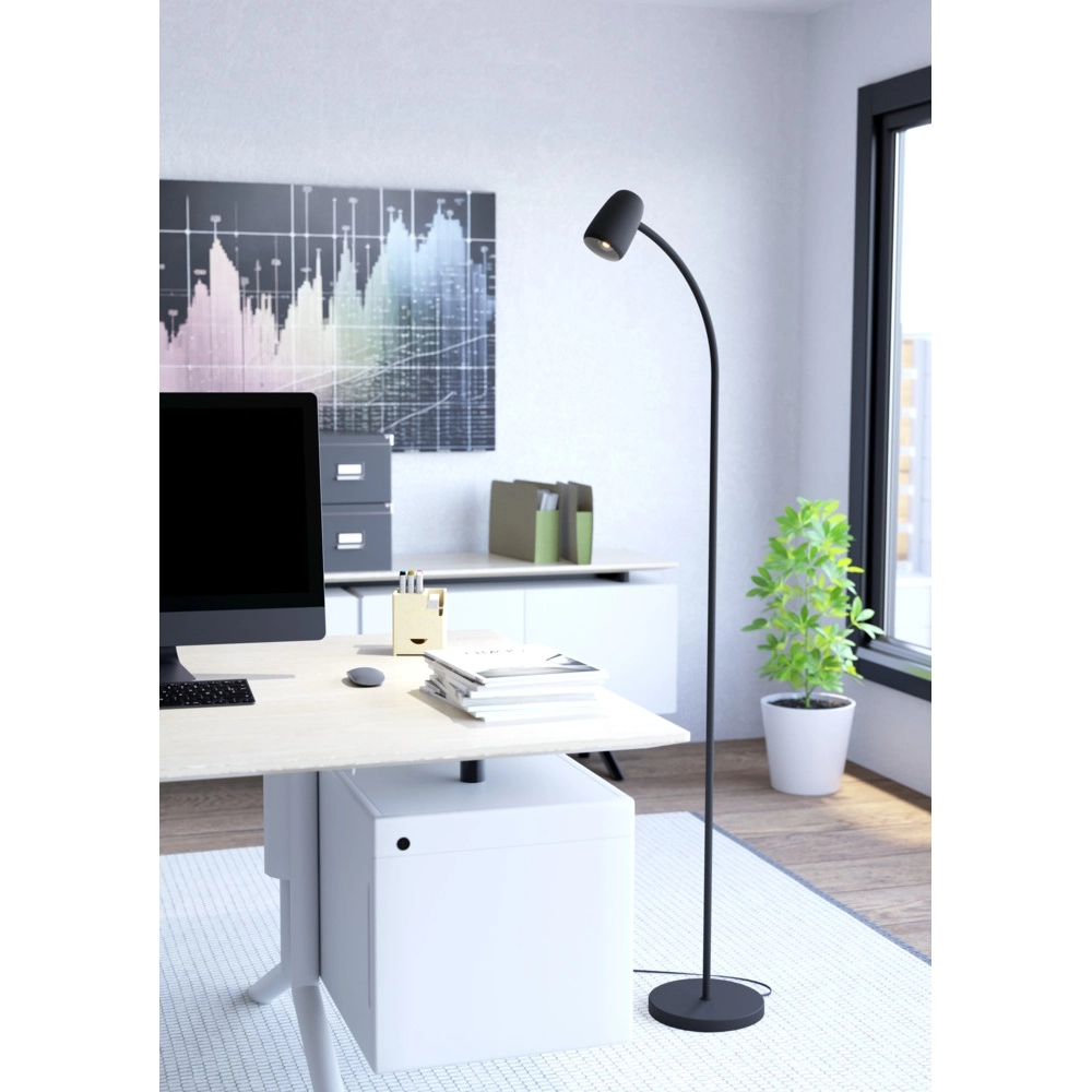 Vloerlamp Carlo zwart Eglo 9008606360819