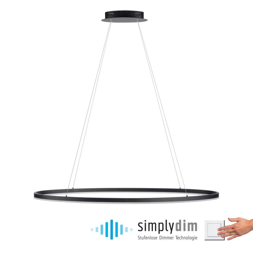 Antraciete hanglamp Titus Ø 118cm Paul Neuhaus 4012248375228