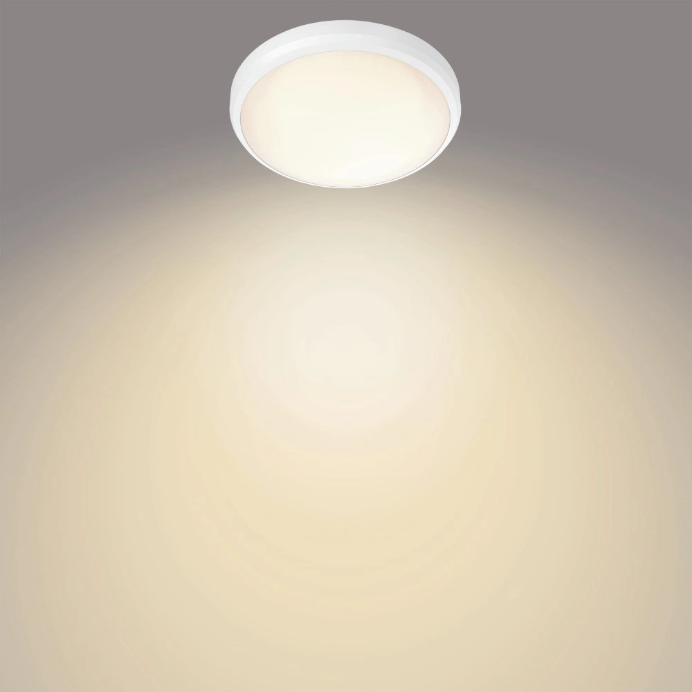 Badkamer plafonnière Balance Ø 22,5cm wit Philips 8718699778873