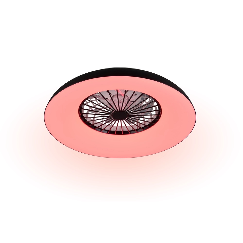 Design ventilator Svaerholt zwart Ø 60cm met RGB functie Trio 4017807688795