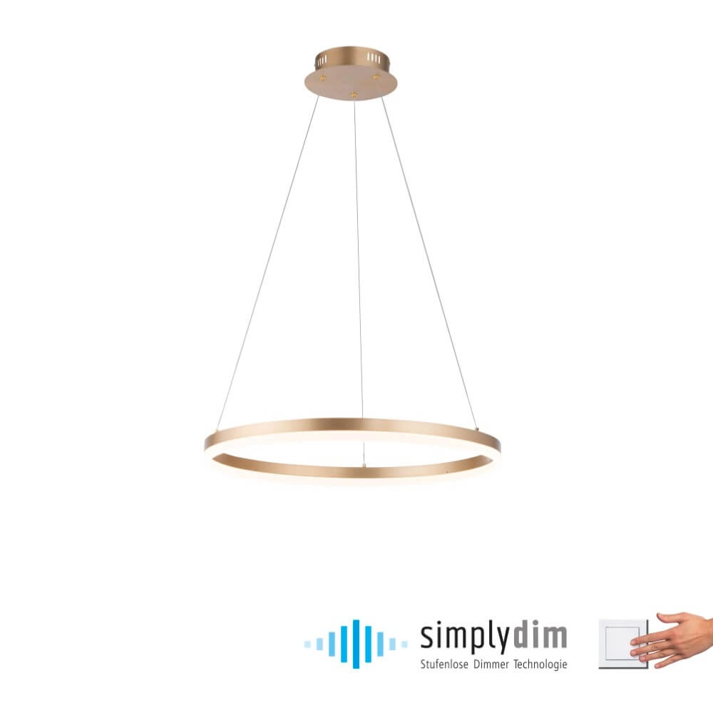 Moderne hanglamp Titus Ø 60cm antiek messing Paul Neuhaus 4012248362853