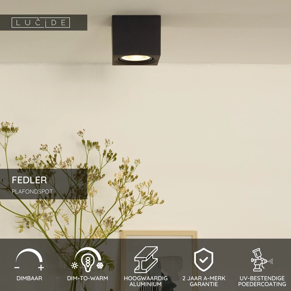 Plafondspot Fedler GU10 ES111 zwart Lucide 5411212092151