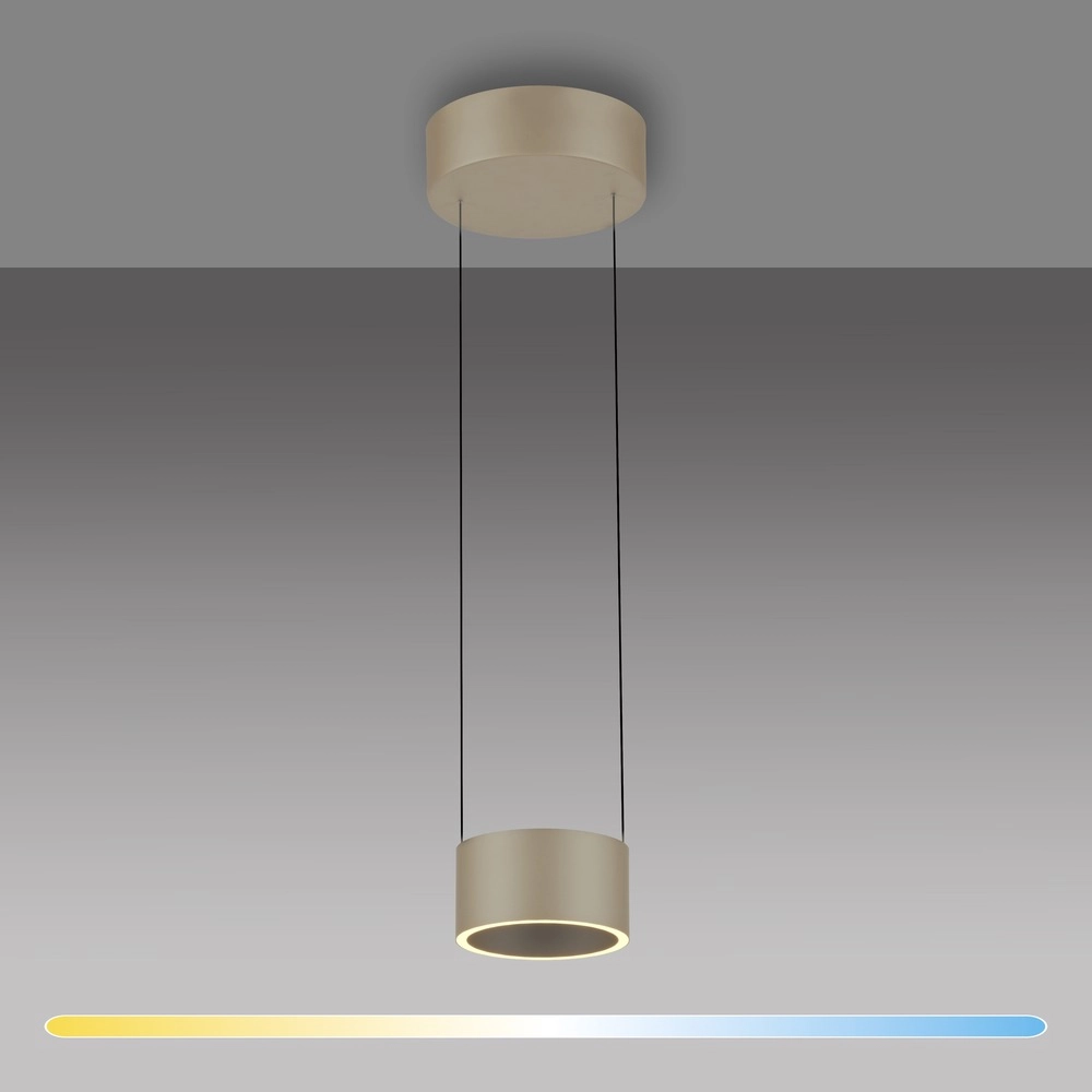 Design led hanglamp Pure Clipse Bronce Paul Neuhaus 4012248396308