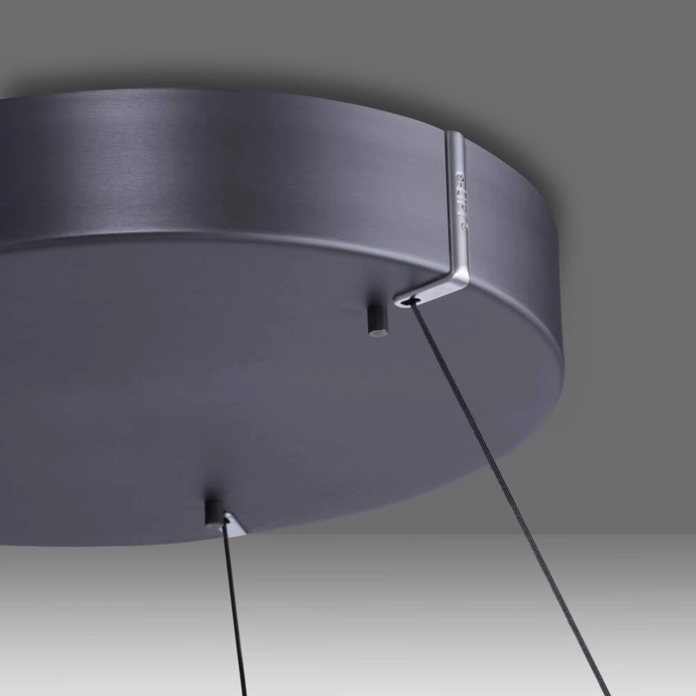 Strakke hanglamp Pure E-Loop grijs Ø 70cm Paul Neuhaus 4012248372289