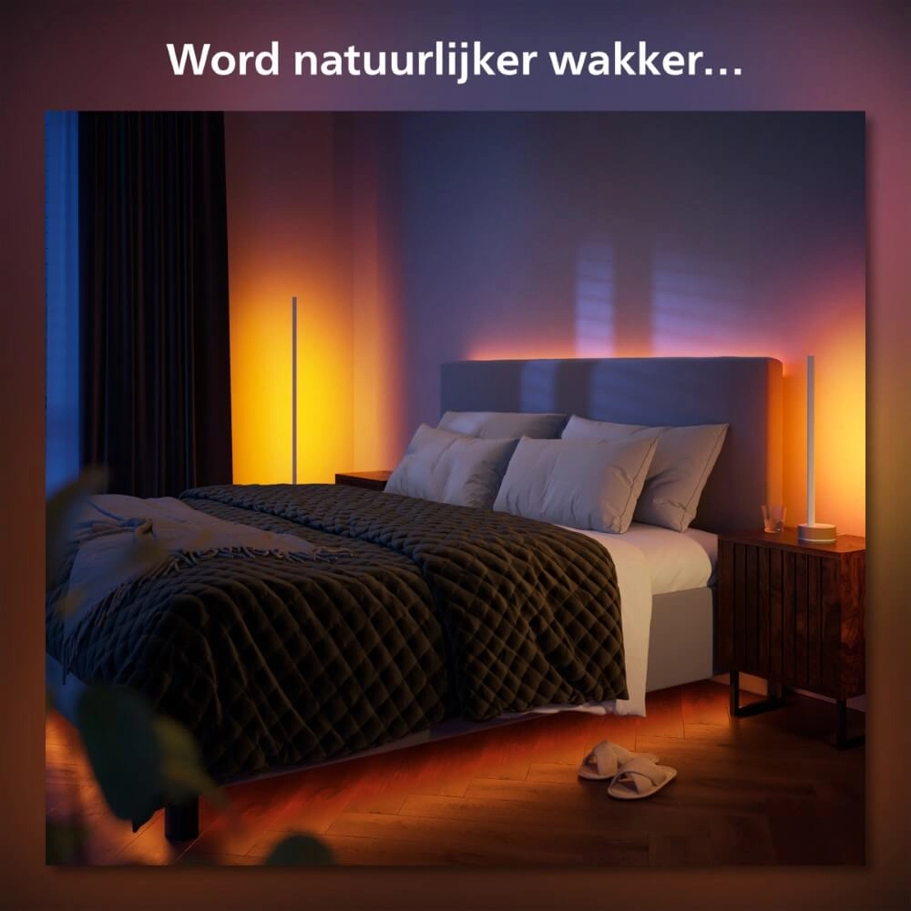 Slimme tafellamp Hue Signe - White and color Philips 8719514433465