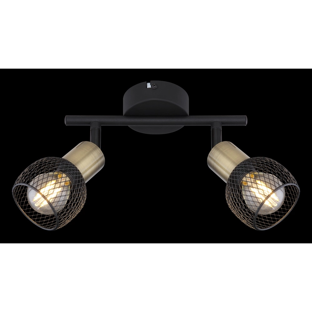 Plafondlamp Fiastra 2-lichts zwart met gaas Globo 9007371415120