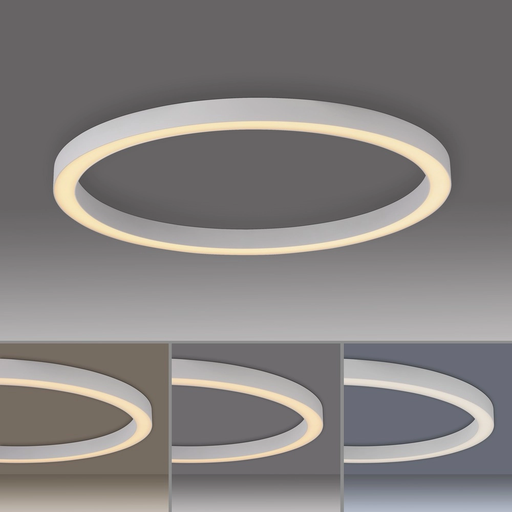 Strakke led plafondlamp Pure Lines Round Ø 70cm - wit Paul Neuhaus 4012248395813