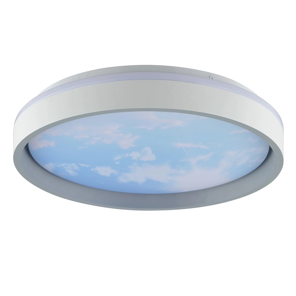 Plafonniere Sky-Dream wit met grijs Ø 39cm Brilliant 4004353473982