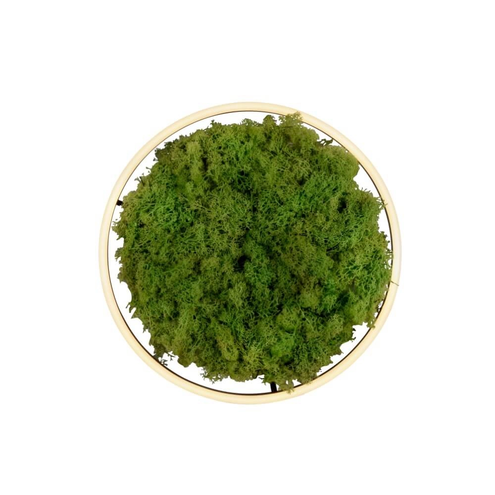 Plafondlamp Green Ritus met mos Ø 39,3cm Just Light 4043689994792