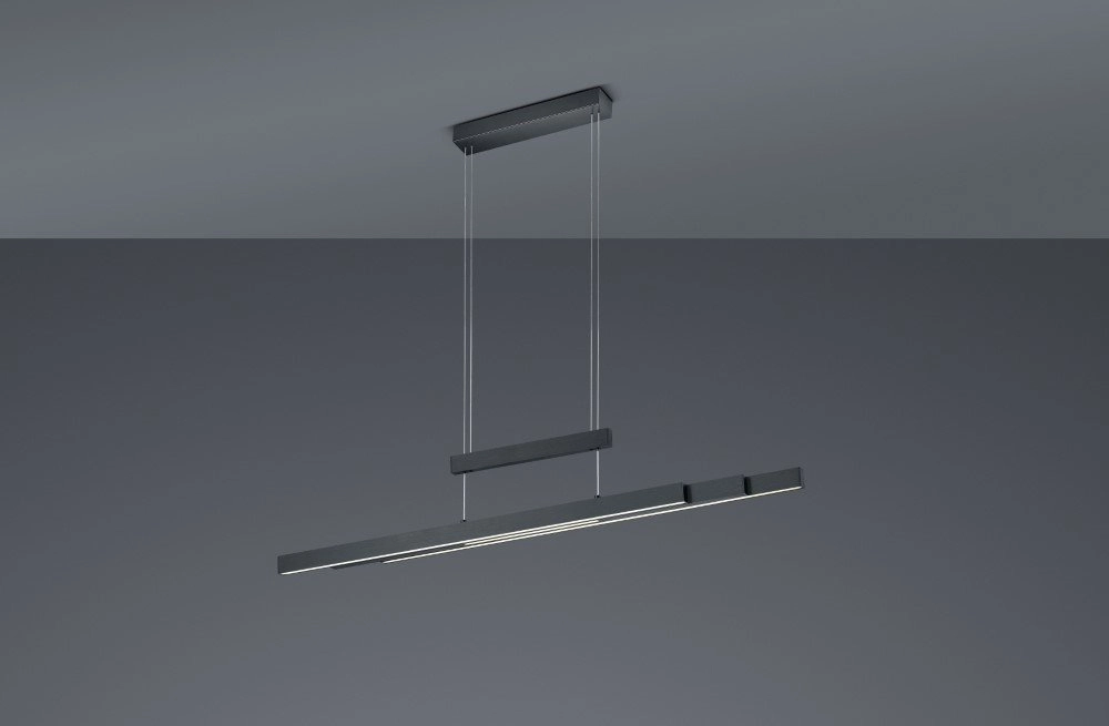 Hanglamp Trajan mat zwart Trio 4017807472233