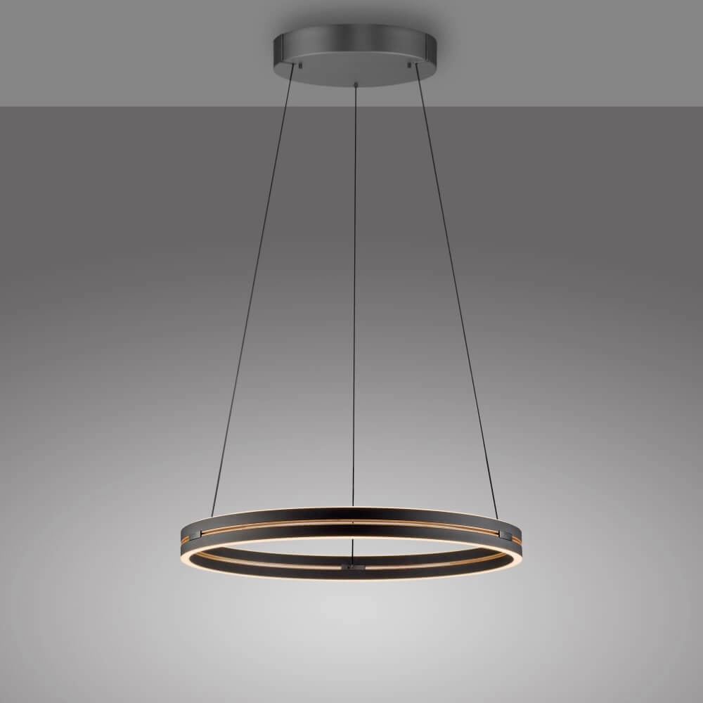 Strakke hanglamp Pure E-Loop zwart Ø 70cm Paul Neuhaus 4012248384336