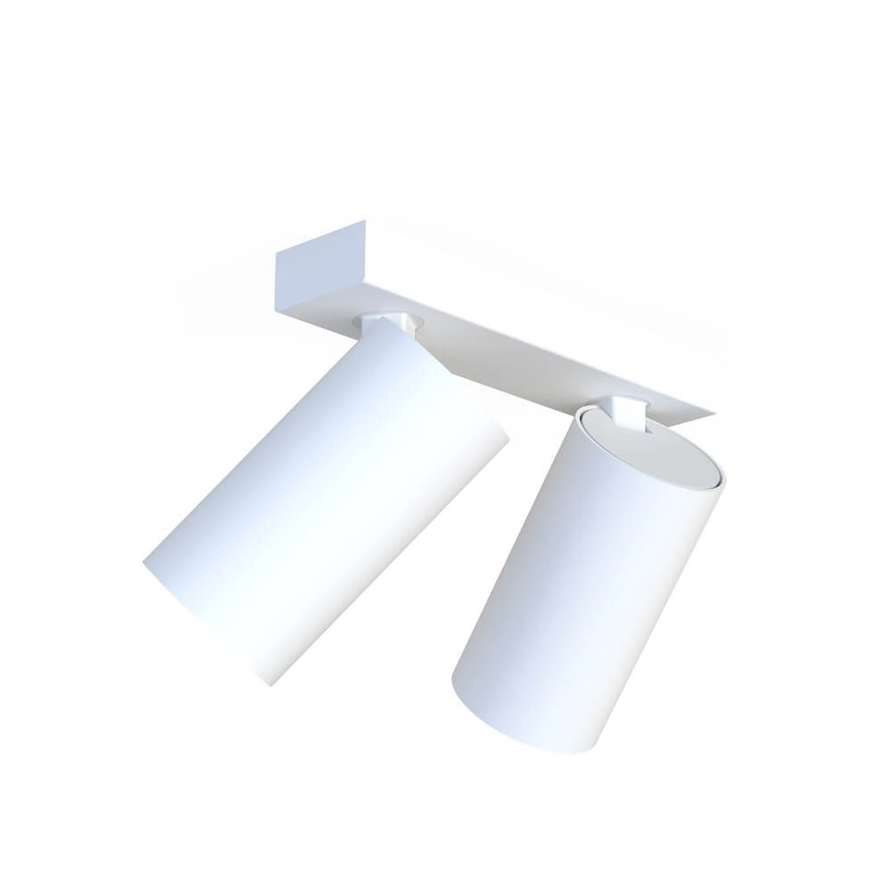 Witte opbouwspot Mono 2-lichts kantelbaar Lyora 5903139781091