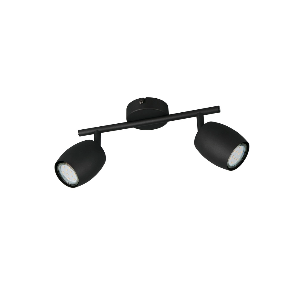 Plafondlamp Nancy 2-lichts zwart Trio 4017807656602
