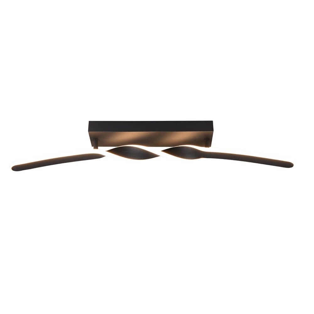 Design plafondlamp Ginko zwart Trio 4017807642520