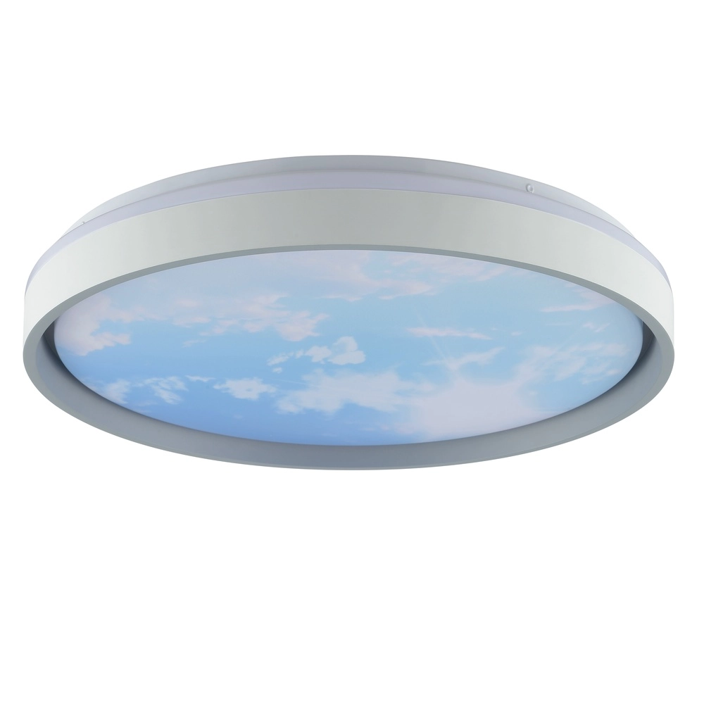 Plafonniere Sky-Dream wit met grijs Ø 48,5cm Brilliant 4004353473999