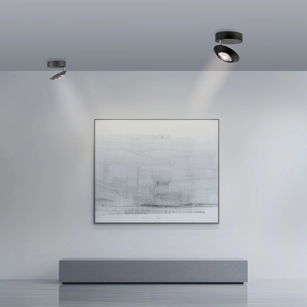 Led plafondspot Pure Oculis black pearl Paul Neuhaus 4012248397053