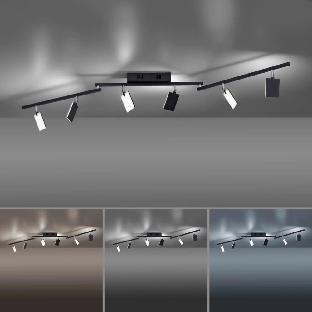 Plafondlamp Pure Mira 6-lichts zwart Paul Neuhaus 4012248359464