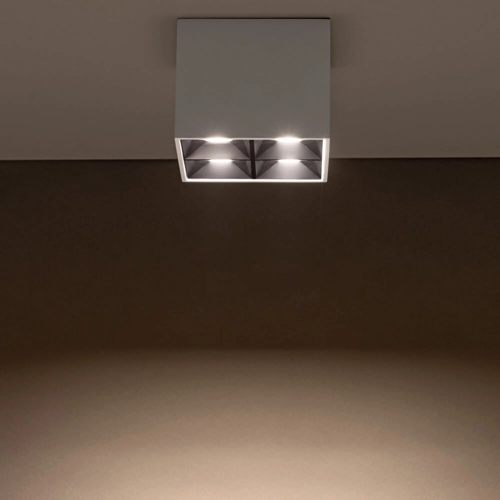 Witte opbouwspot Midi Led 2x2 leds - 3000K Lyora 5903139100472