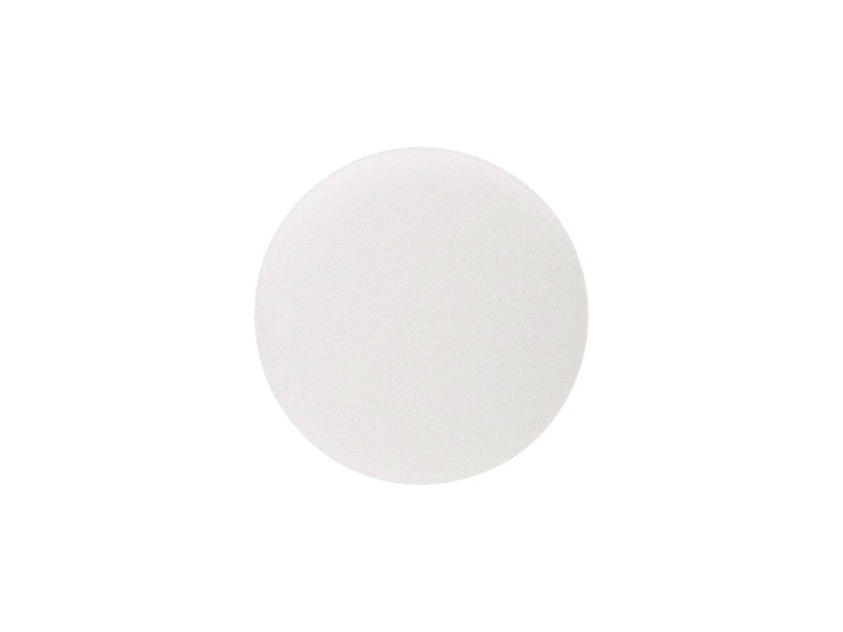 Diffuser voor Numinos L frorted