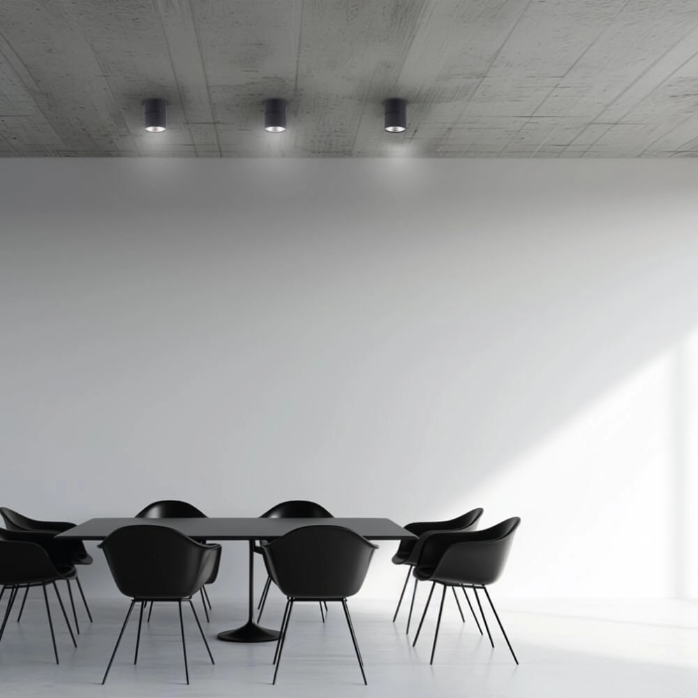 Opbouwspot Pure Nola zwart Paul Neuhaus 4012248371992