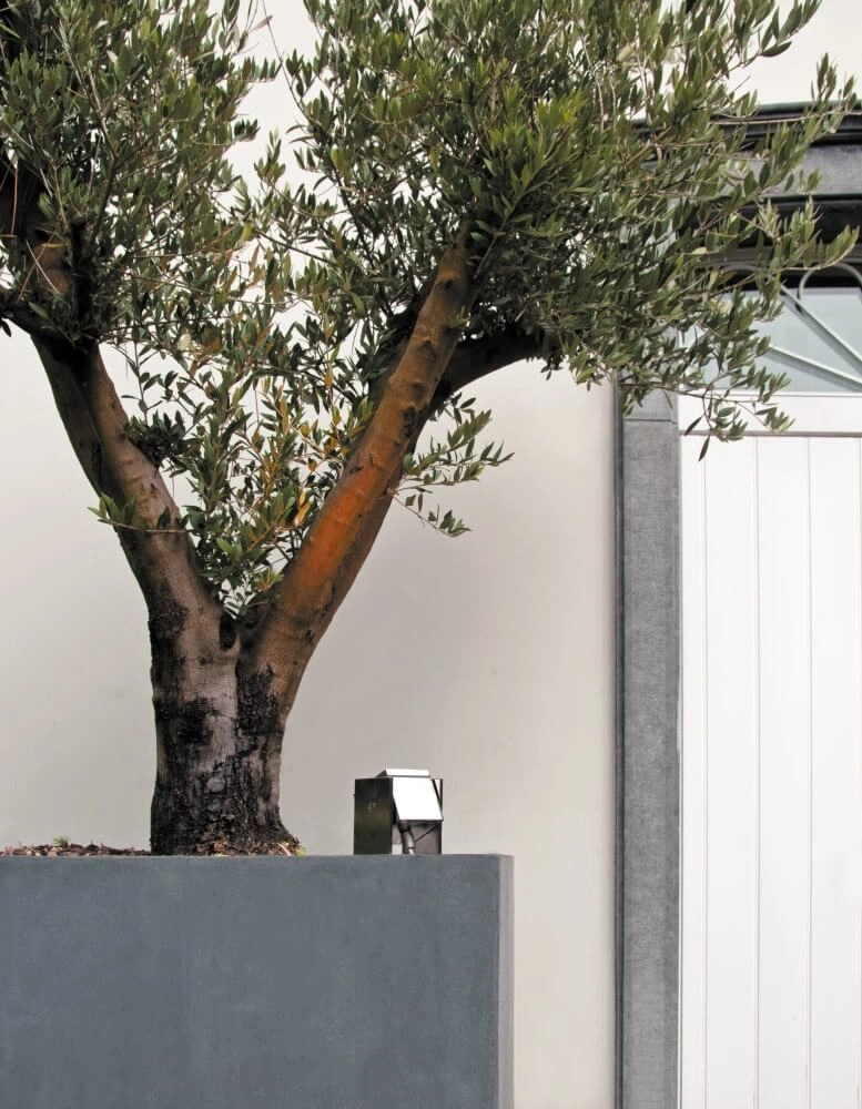 Tuinspot Q-Bic aluminium Royal Botania