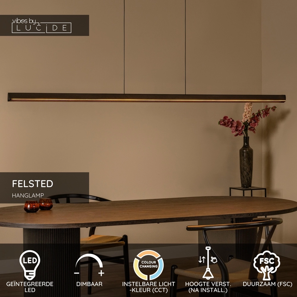 Design hanglamp Felsted zwart 180cm Lucide Vibes 5411212011077