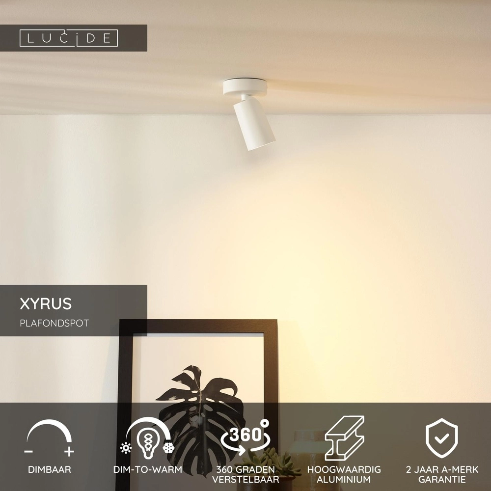 Plafondspot Xyrus wit Lucide 5411212234186