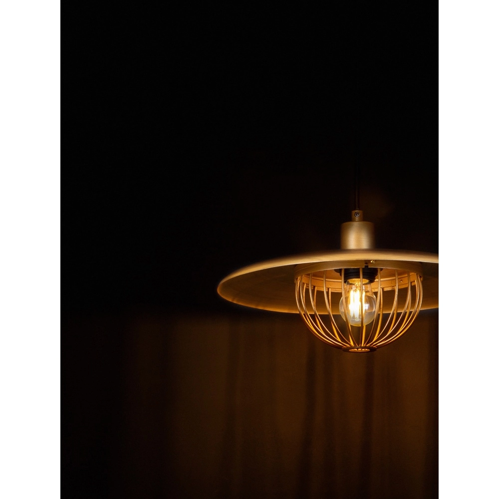 Hanglamp Fox goud Lyora 5212017433527