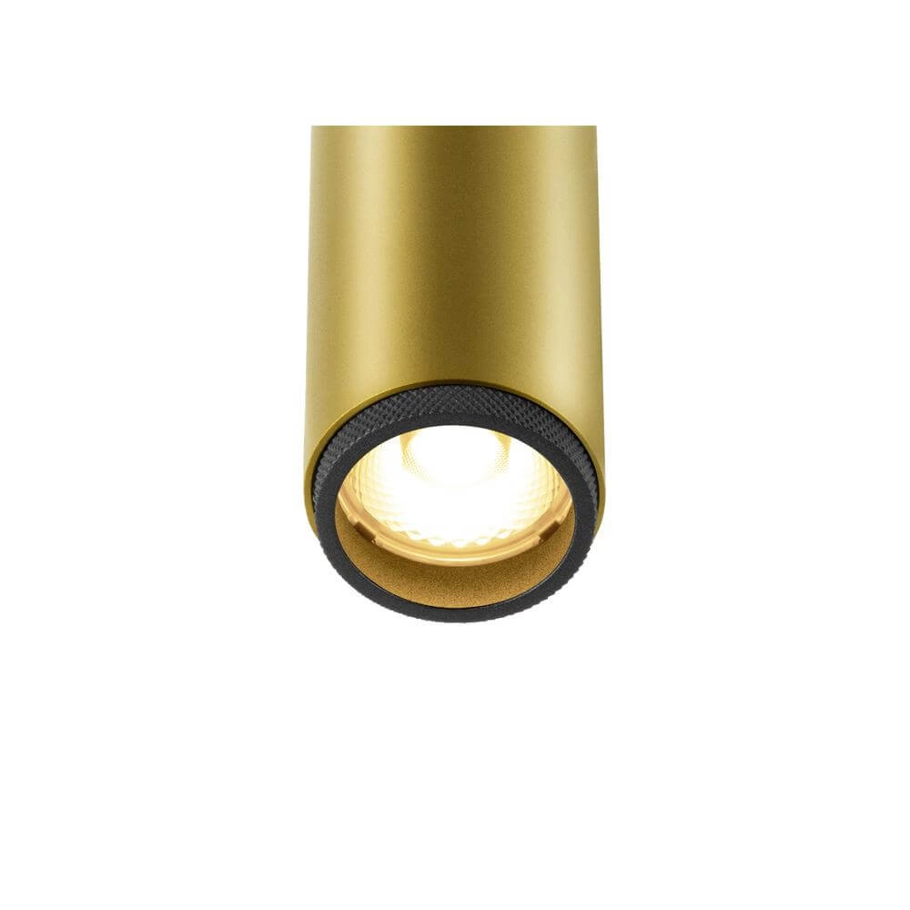 Railspot Grip! S zwart-goud 1-fase 3000K SLV 4024163296519